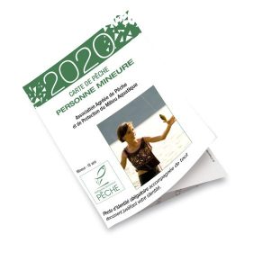 Carte_3D_2020_Mineure